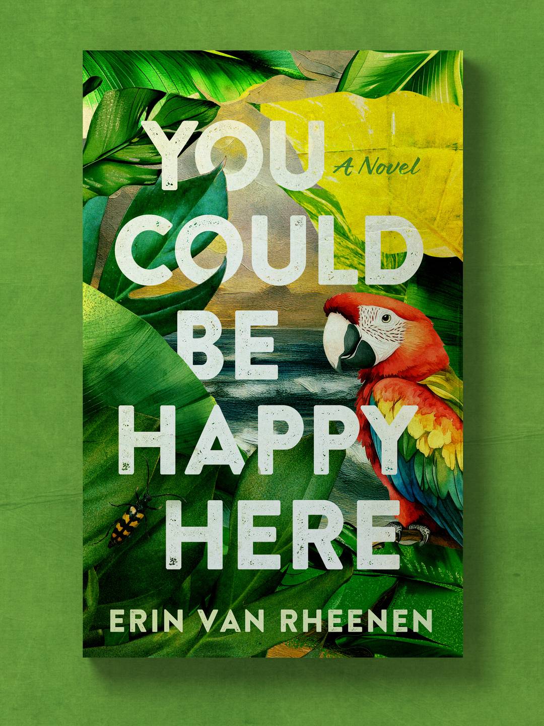 You Could Be Happy Here