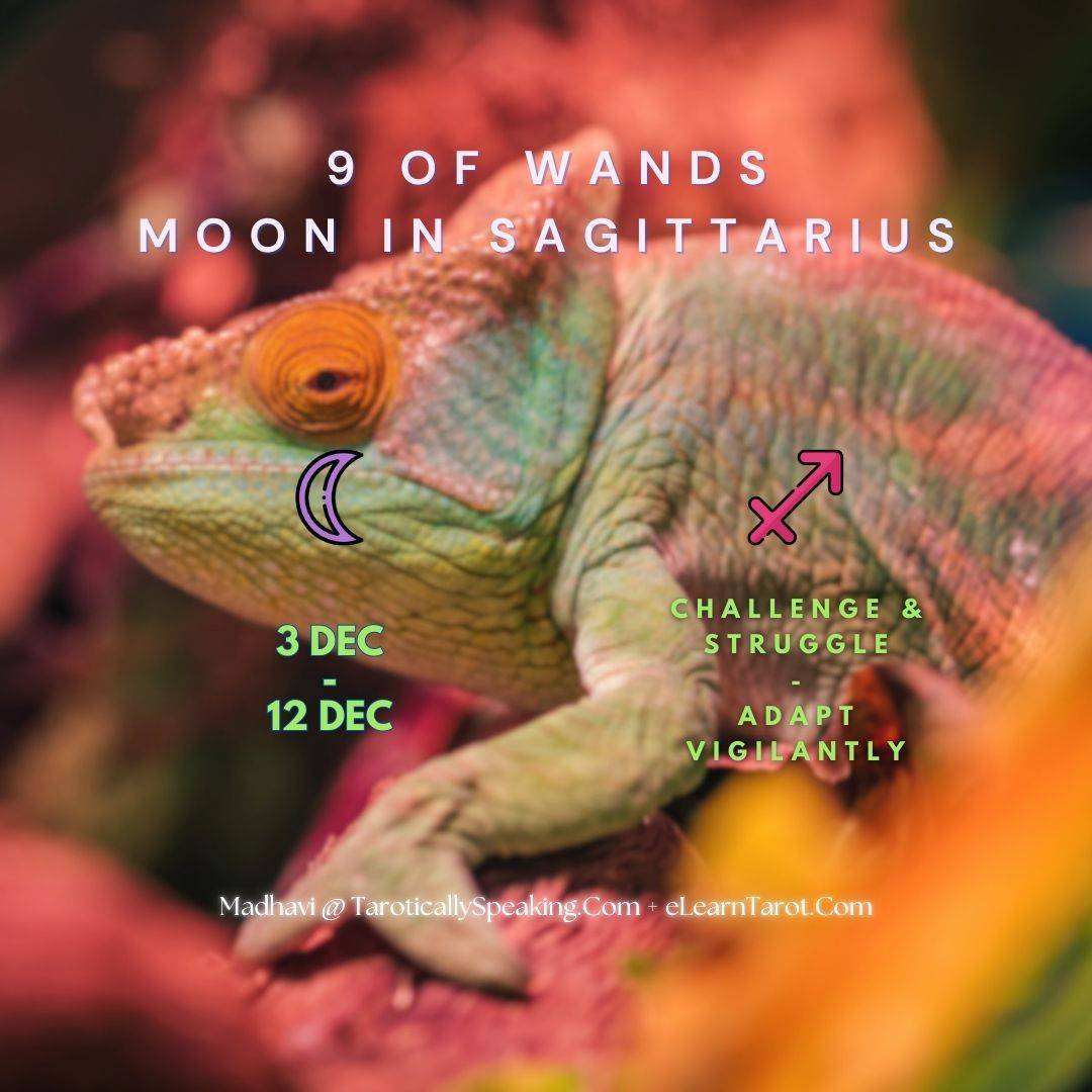 9 of Wands - Moon in Sagittarius