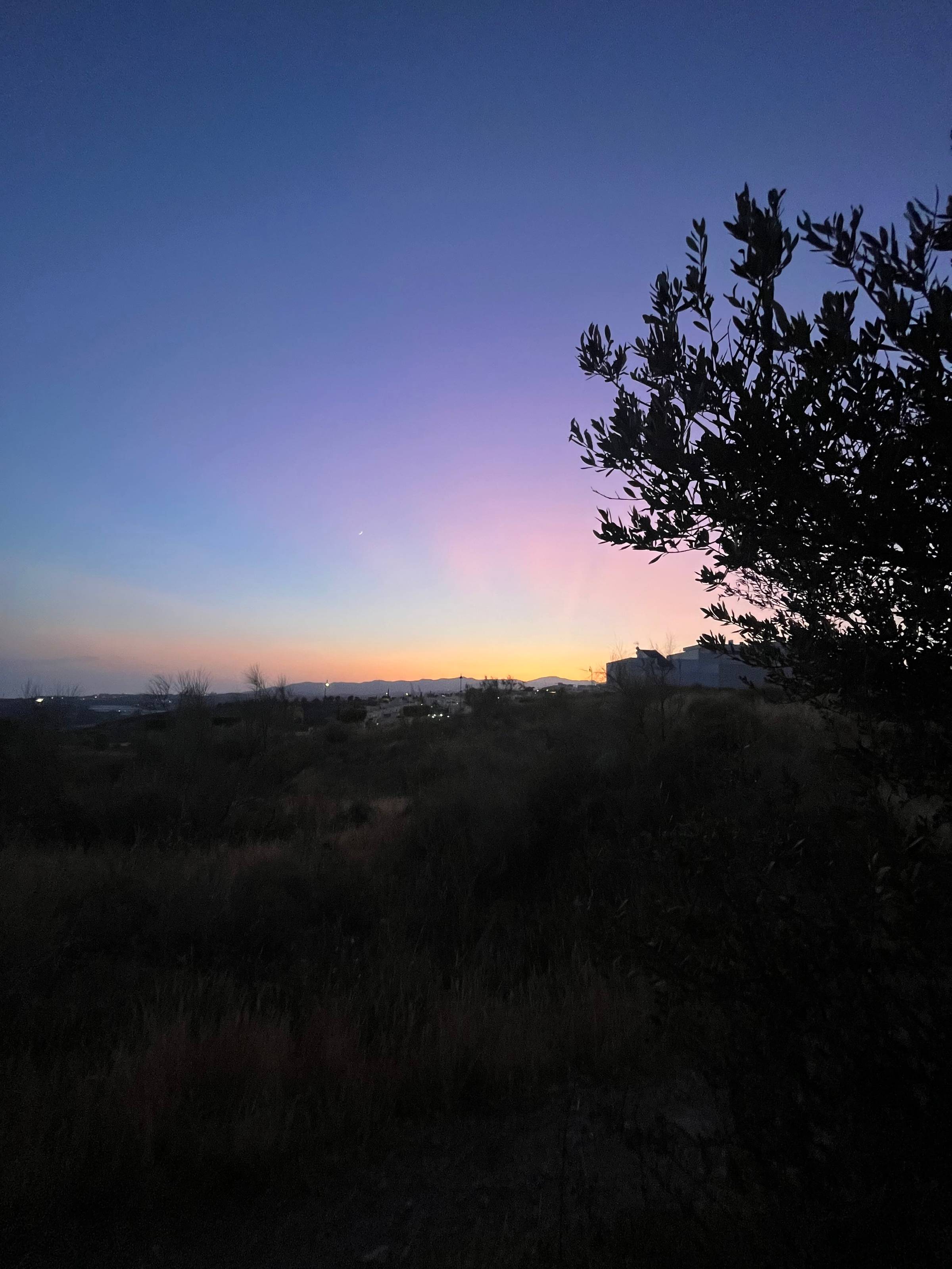landscape at dawn, olive tree outline infront of rainbow colored sky