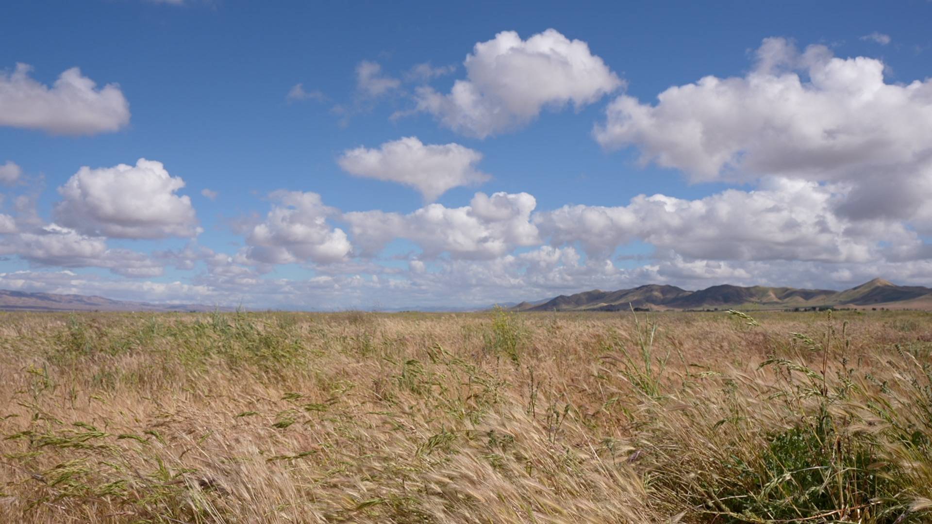 The Carrizo Plain where CASBA all started