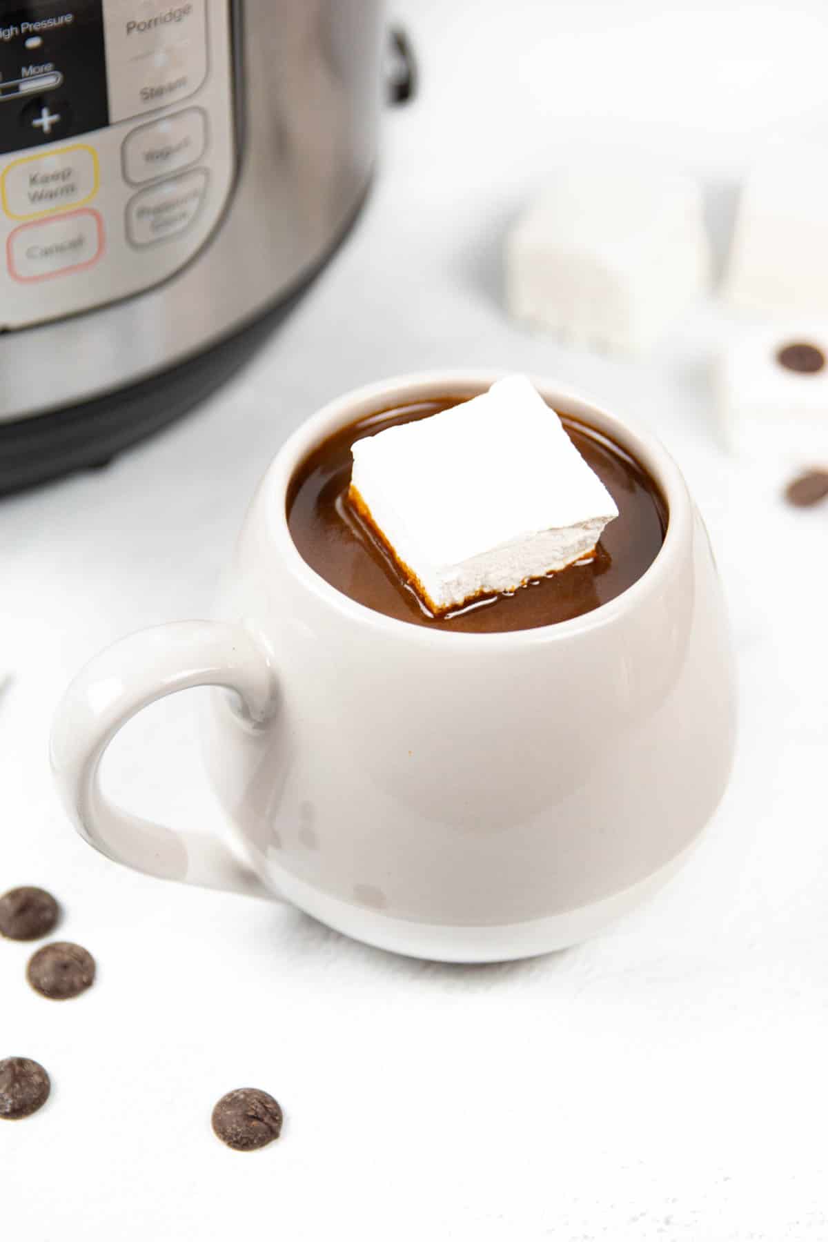 A white mug holds hot chocolate with a large white marshmallow.