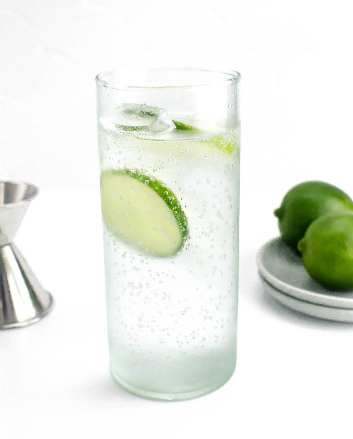A clear bubbly drink with lime wheels.