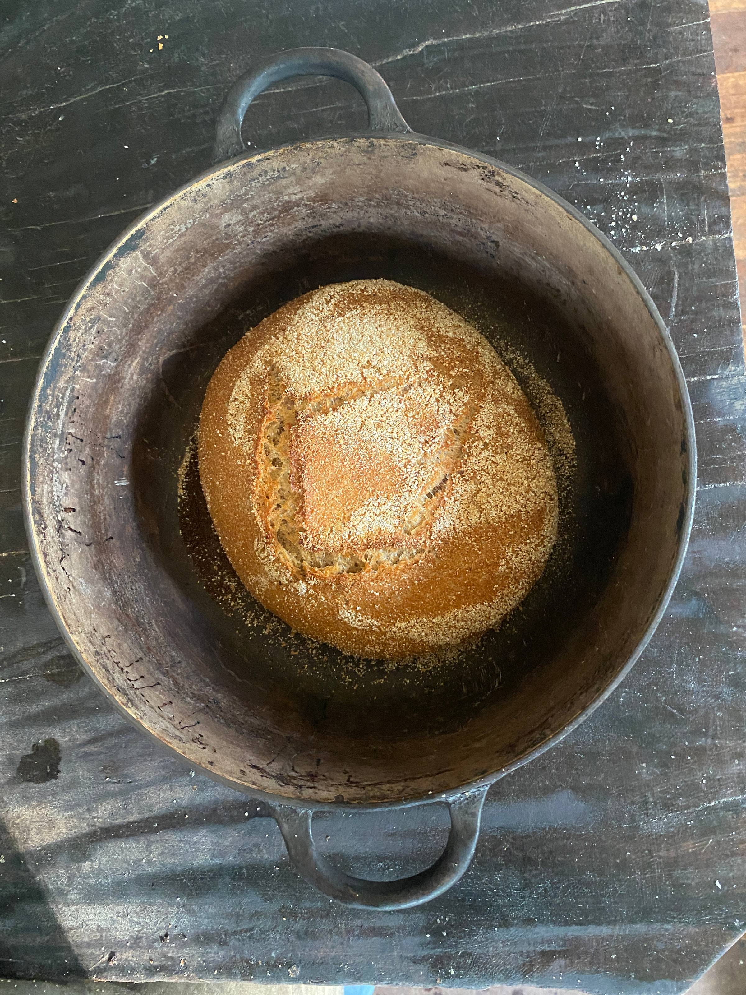 whole wheat boule in dutch oven