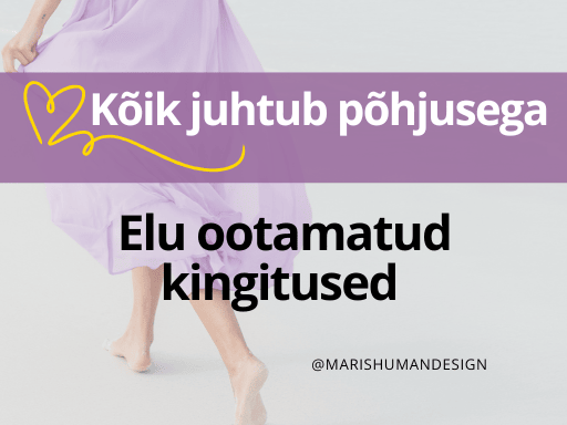 Kõik juhtub põhjusega Elu ootamatud kingitused