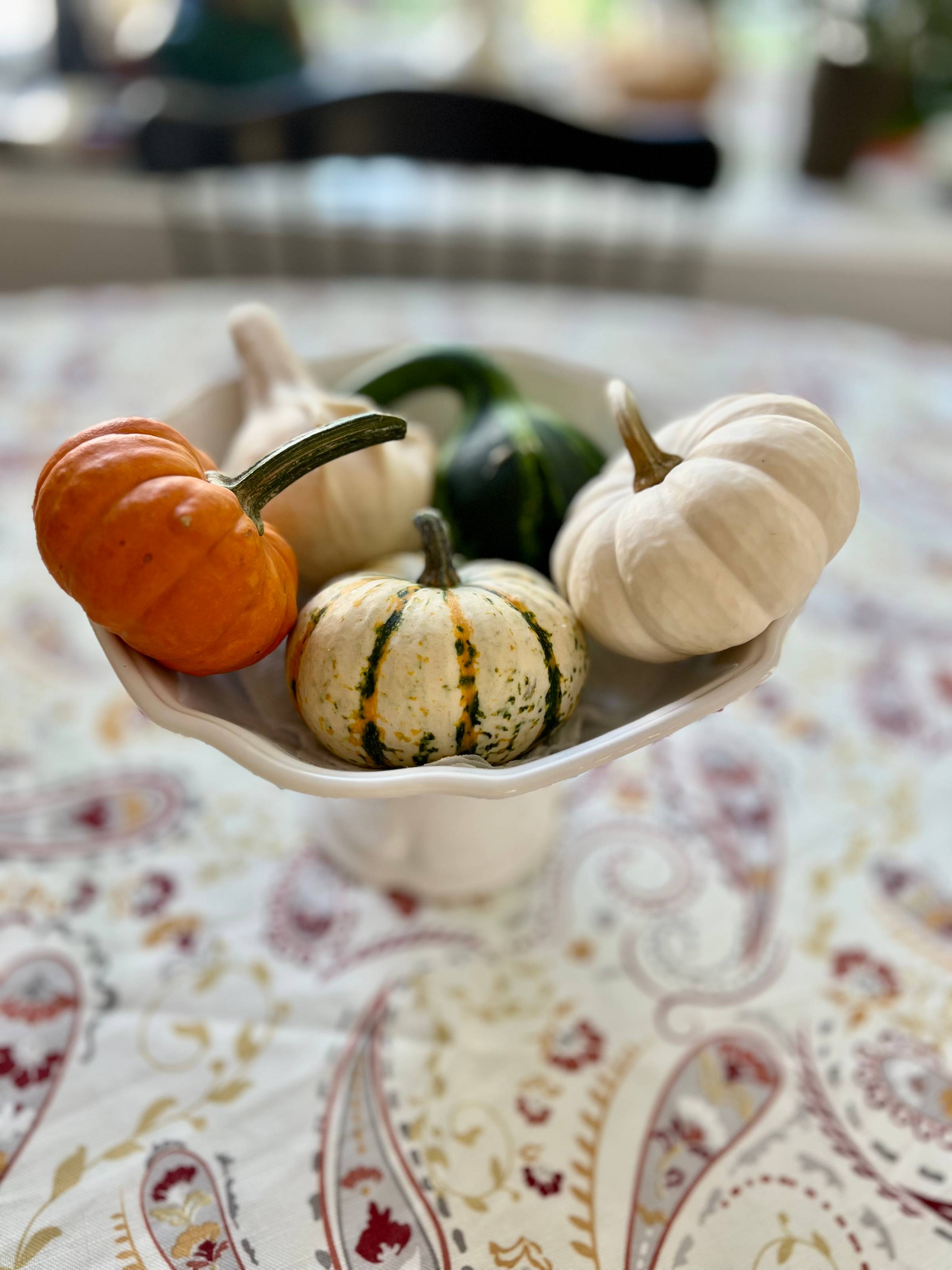 A display of tiny pumpkins and gourds in a white porcelain dish.