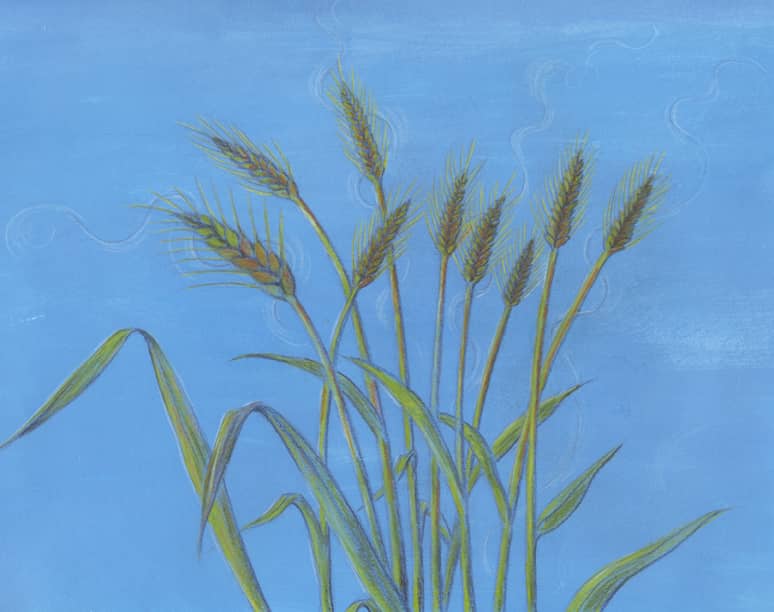 A mixed media study of wheat stalks ready to be harvested by artist, Michelle Manley. © 2026 Michelle Manley. All Rights Reserved.