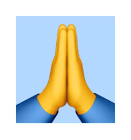Please and Thank You implied with prayer hands emoji