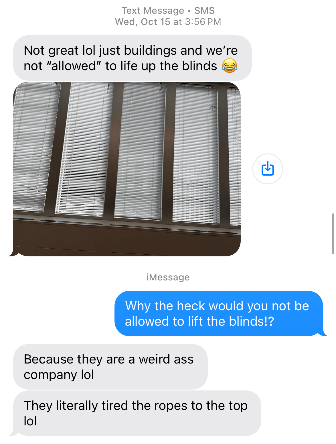 A screenshot of a text message conversation. The first message says "Not great. lol just buildings and we're not allowed to lift the blinds" and there is a picture of her "view" with windows and closed blinds. the next message says "why the heck would you