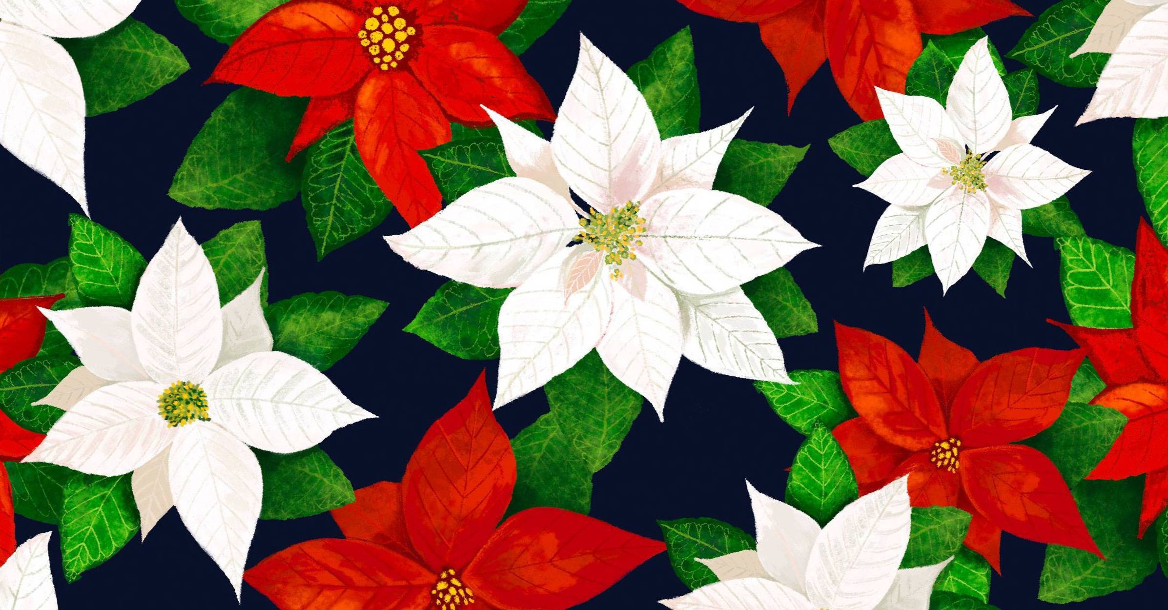 Christmas Poinsettia design created by Ellen Morse