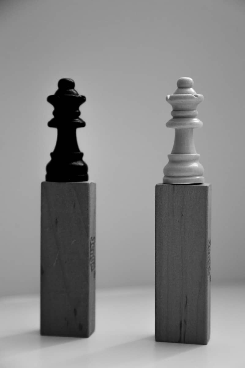 a black and white photo of two chess pieces