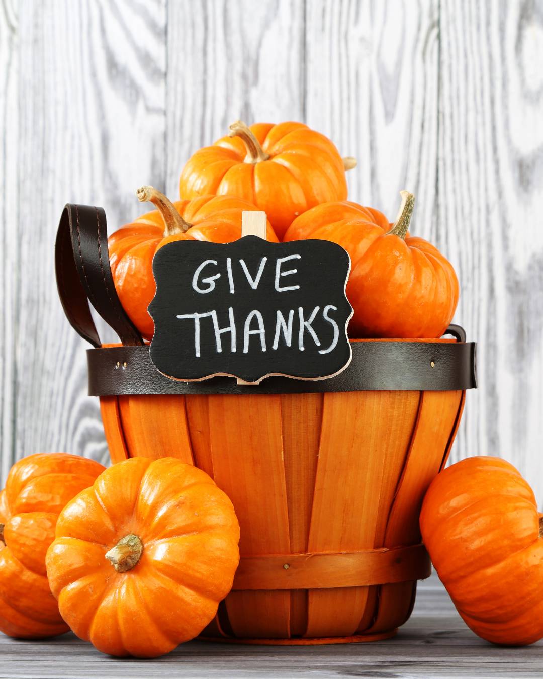 An orange basket full of small orange pumpkins with a sign saying, "Give Thanks."