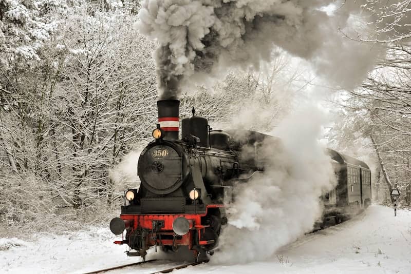 Steam train traveling through a snowy forest