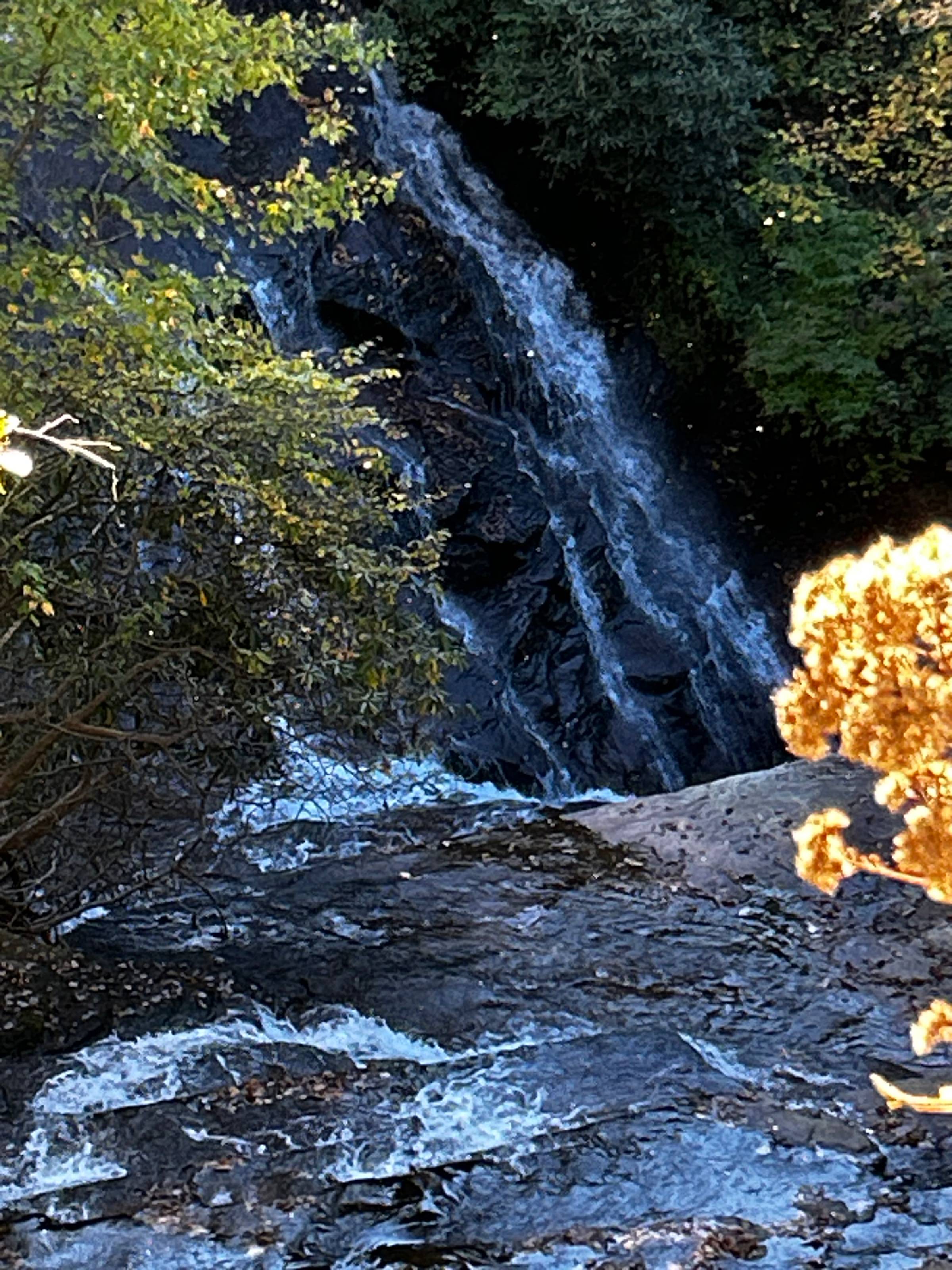 A photo of a waterfall with bright yellow leaves in the foreground.
