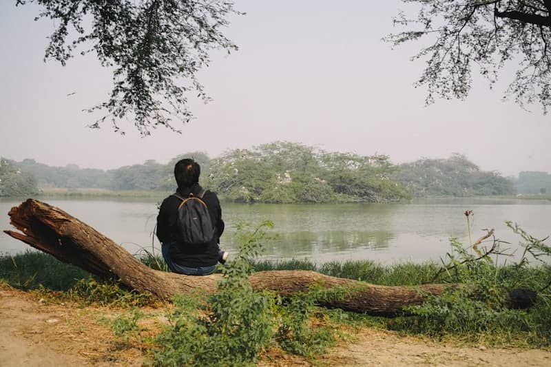 Person sitting on log by tranquil lake