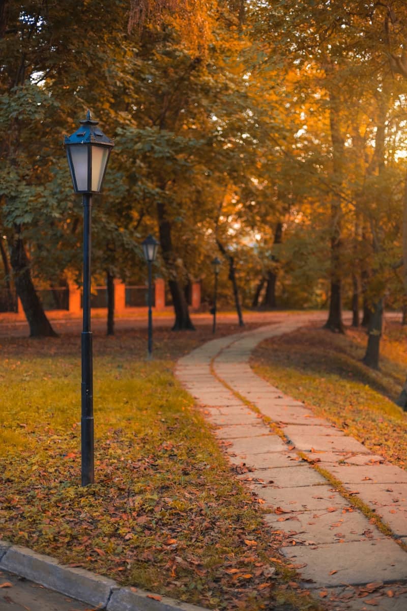 A winding path through an autumn park with lampposts.