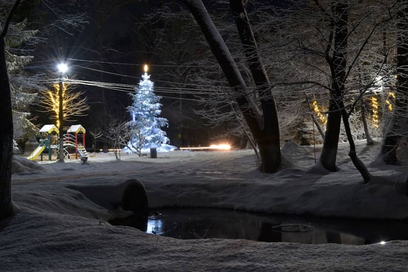 A snowy park at night with a lit christmas tree.