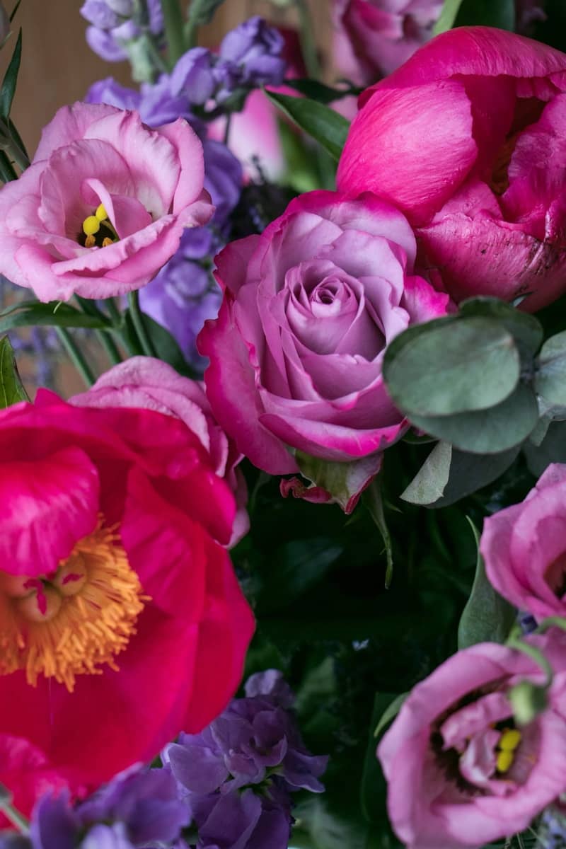 A vibrant bouquet of pink and purple flowers