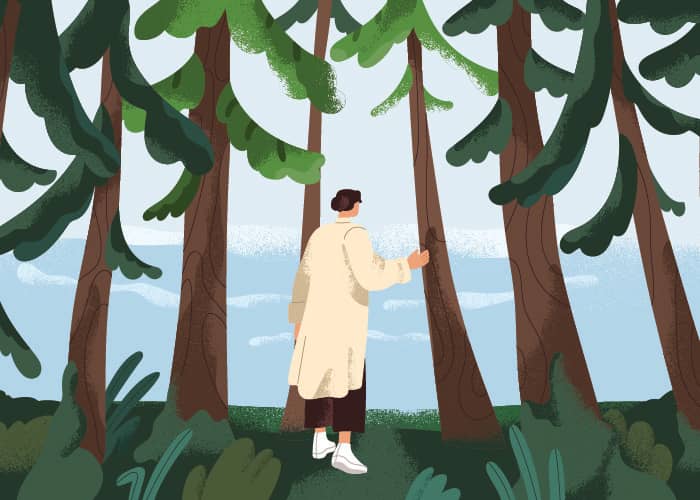A person in a beige coat stands among tall trees, touching one gently. They are surrounded by a grove of trees.
