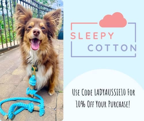 sleepy cotton dog leash
