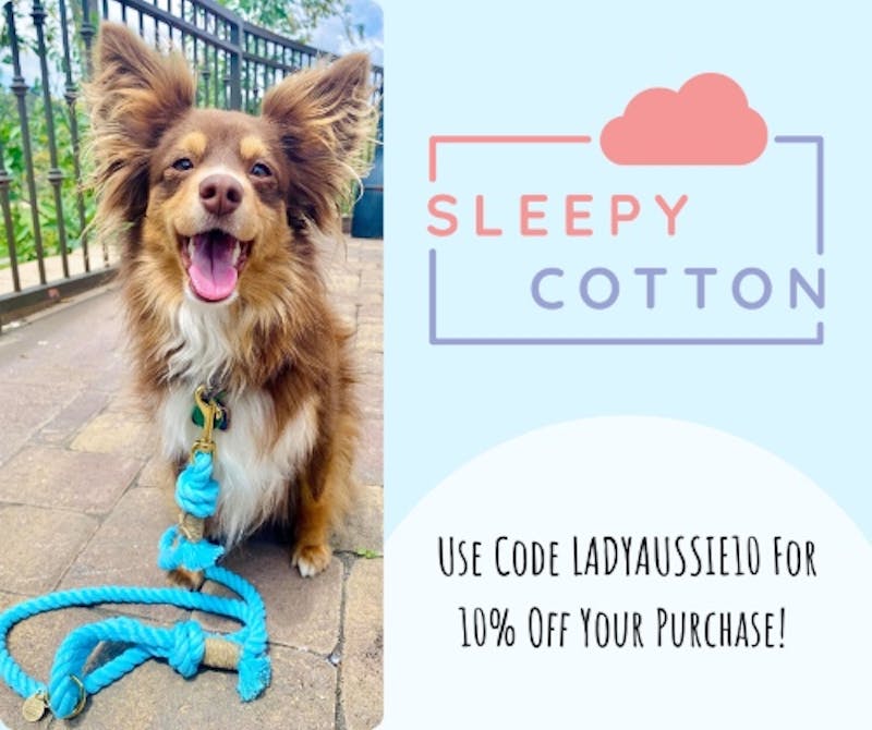 Sleepy cotton deals dog leash