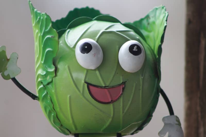 A green leafy vegetable with a happy face