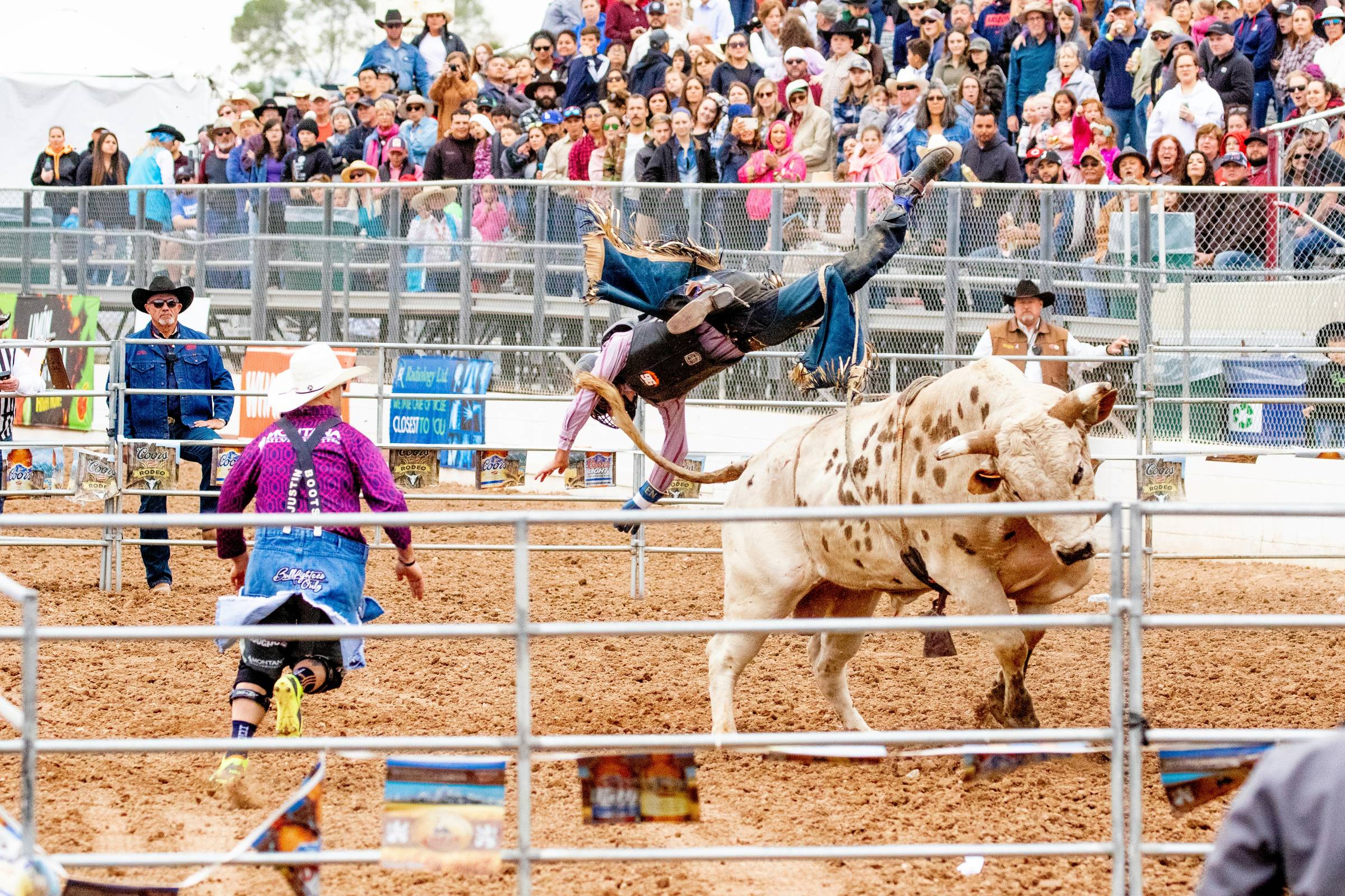 Bullriding