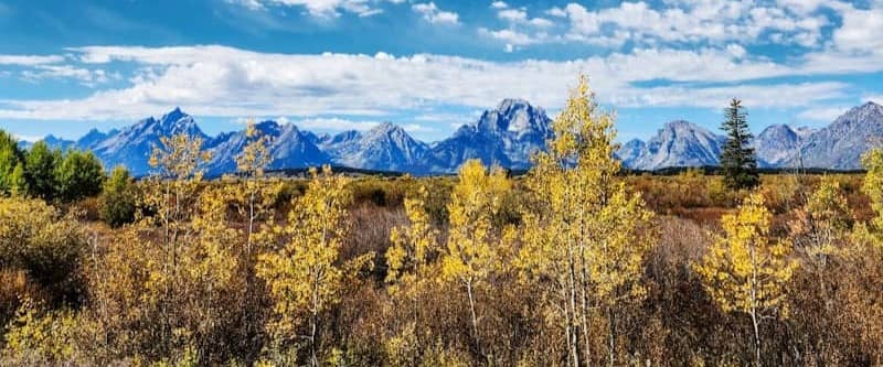 Autumn trees with mountains under a blue sky