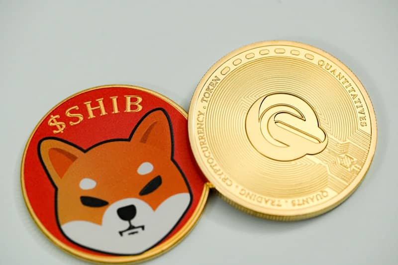 chinchilla crypto coin