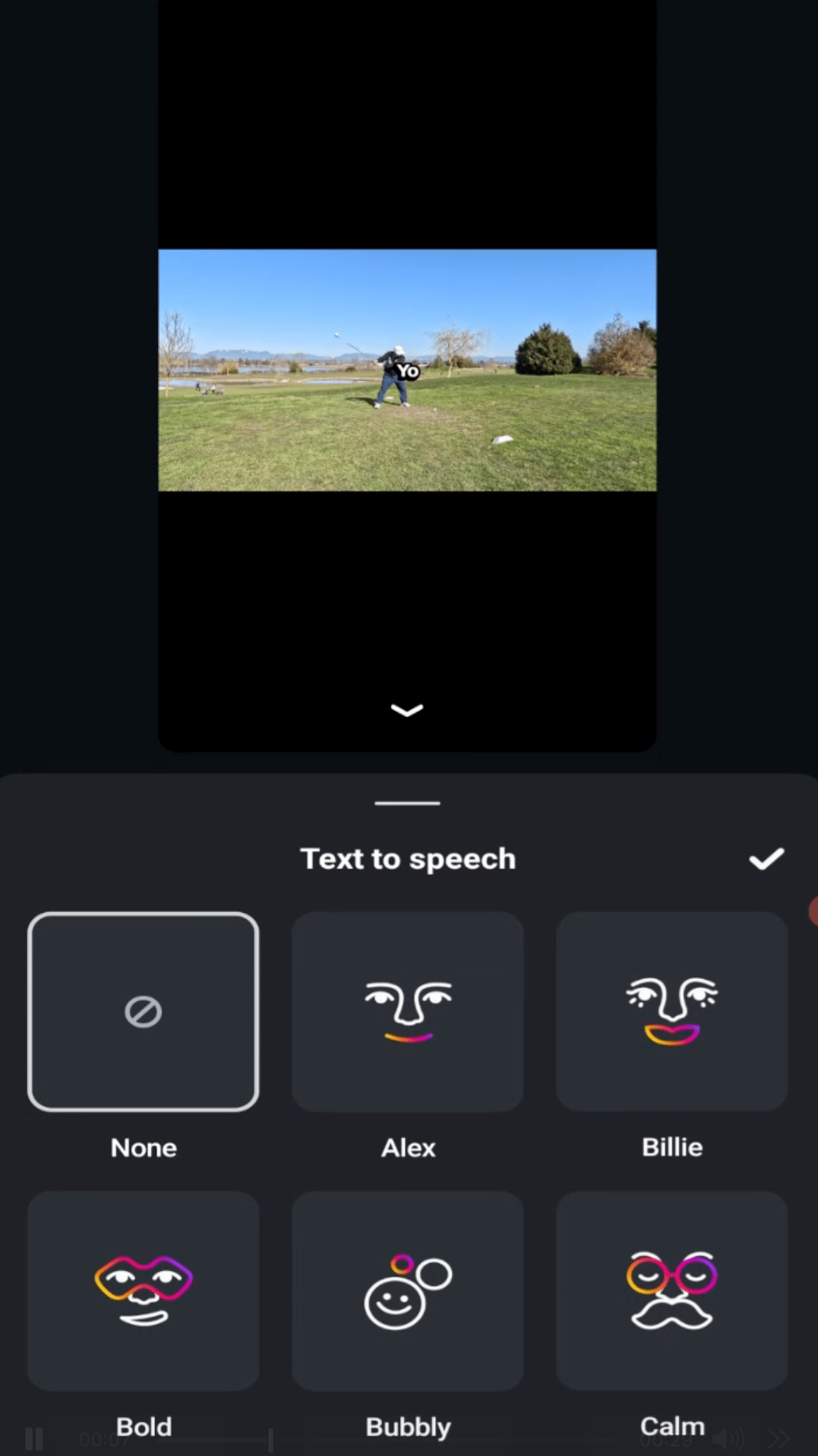 Instagram Edits video editing course