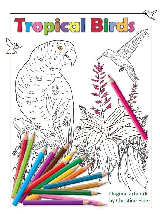Tropical Birds Coloring Book