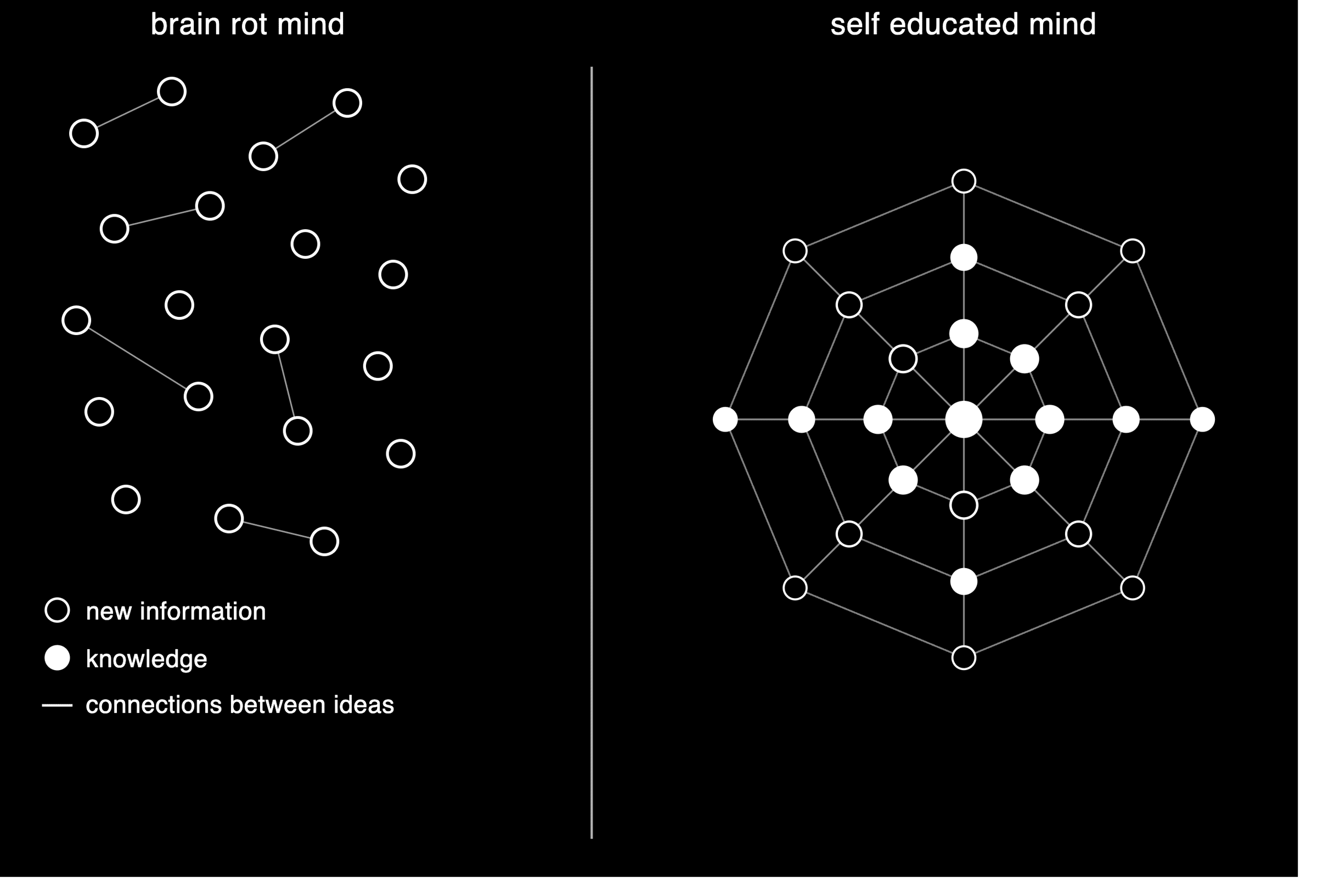 self education: your best chance against brain rot 