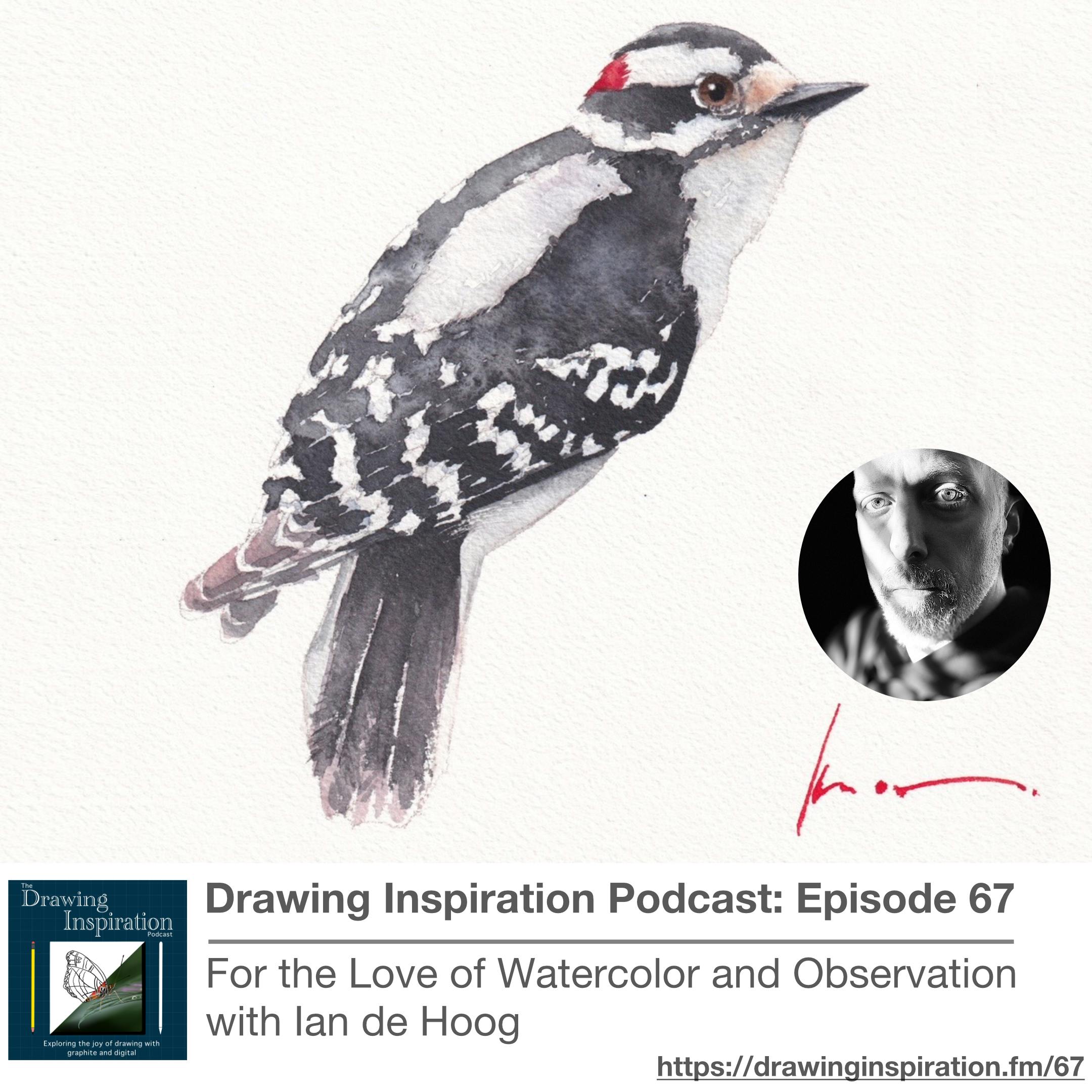 67: For the Love of Watercolor and Observation with Ian de Hoog