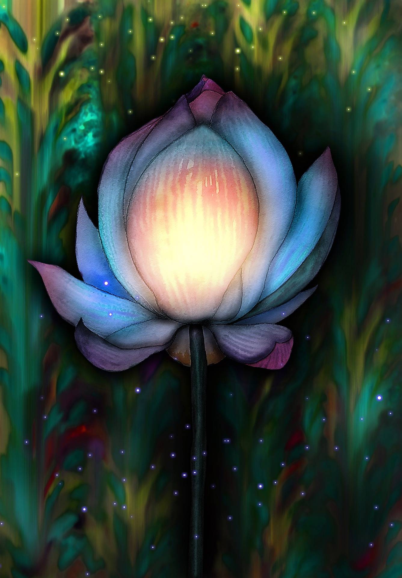 Blooming lotus