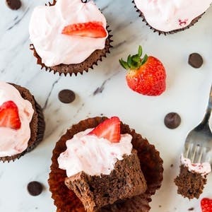 Chocolate Mousse Cupcakes