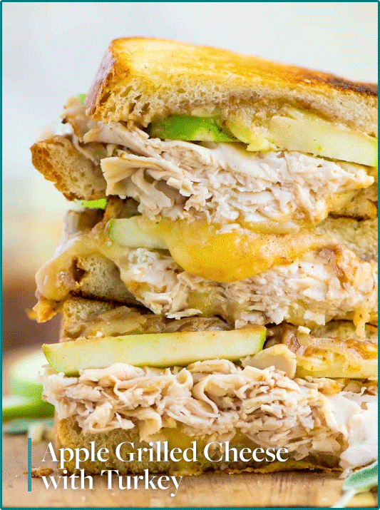 Left over turkey recipes