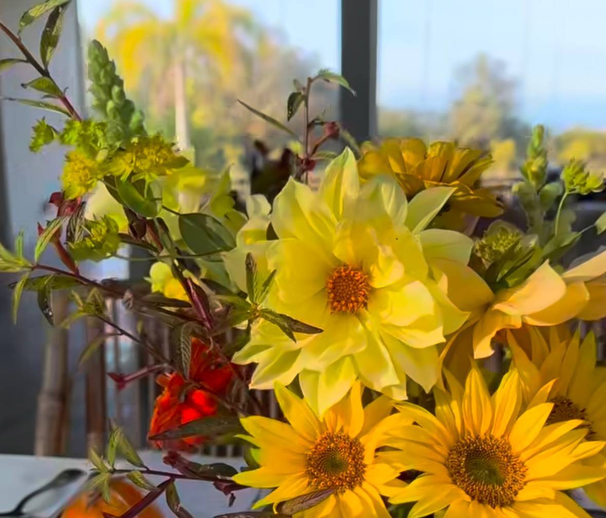 A floral arrangement on a table at Treehouse Vero