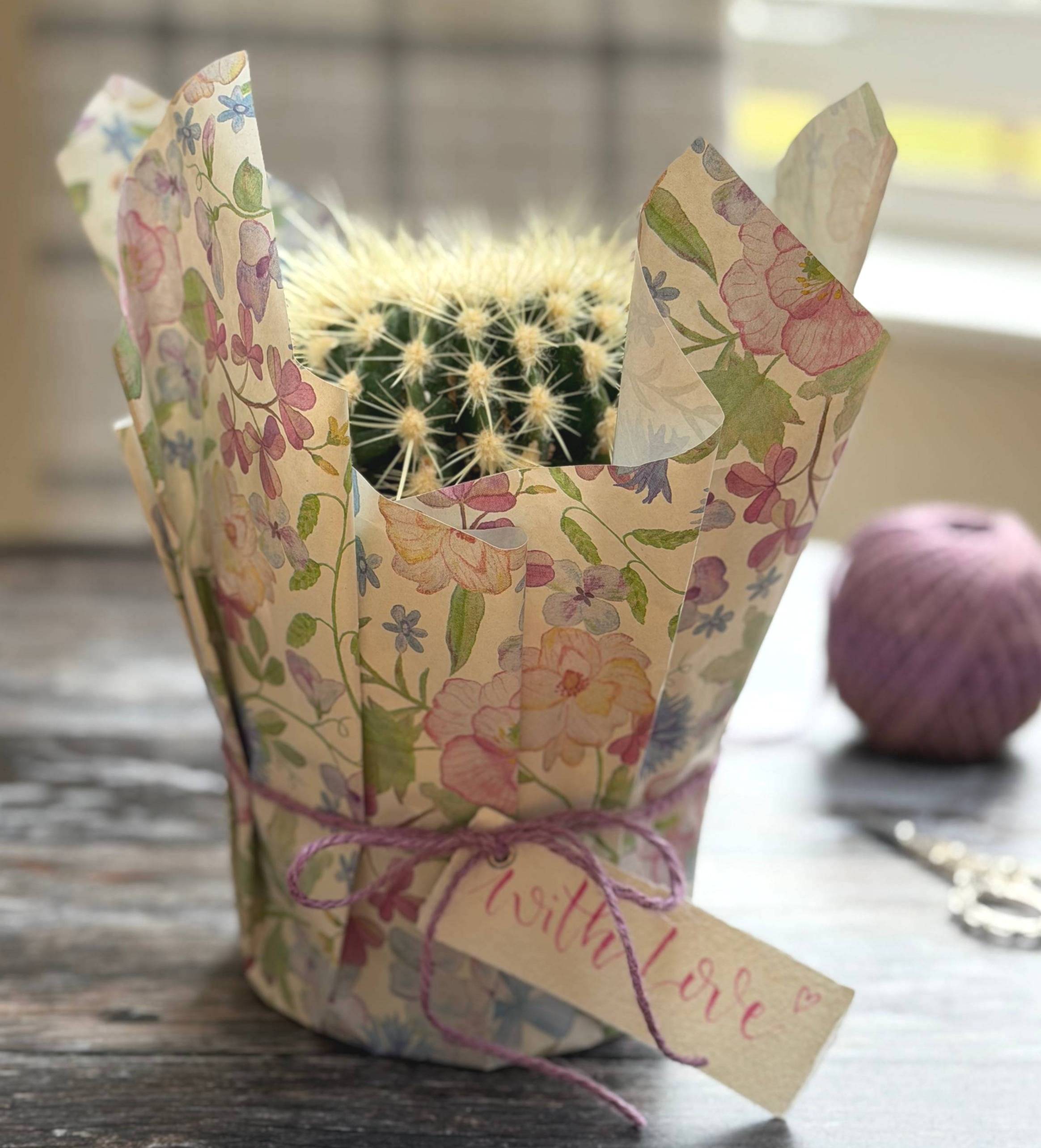Spiky Cactus Wrapped in paper with a twine bow and tag