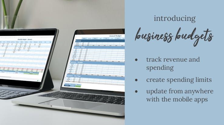 introducing business budgets to track revenue and spending
