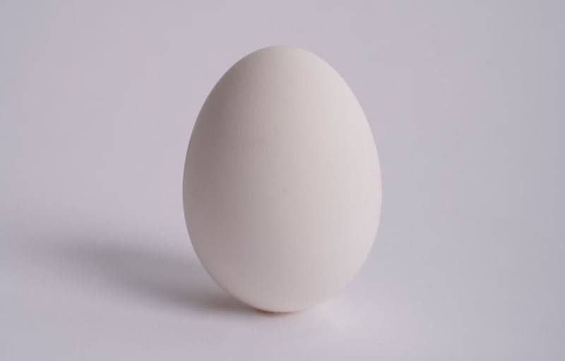 egg