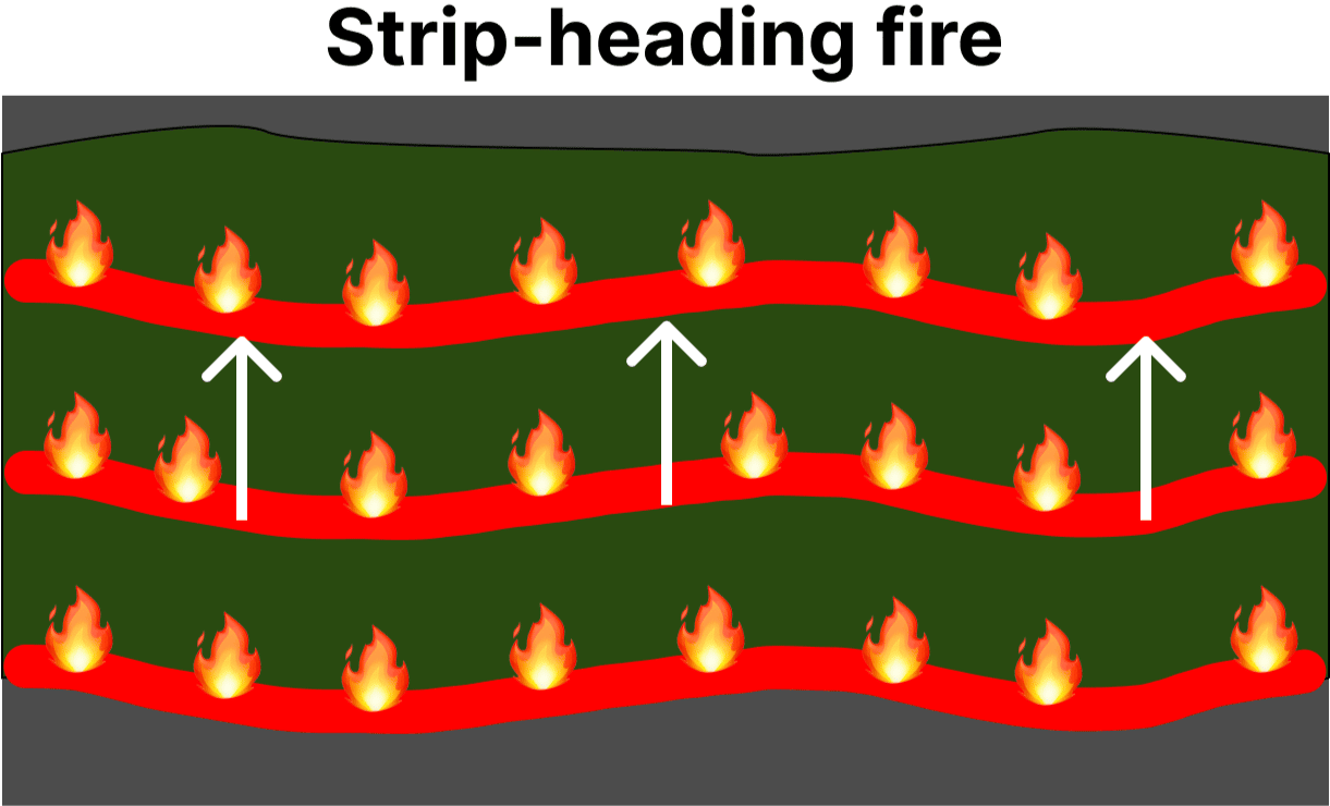 diagram of a strip-heading fire
