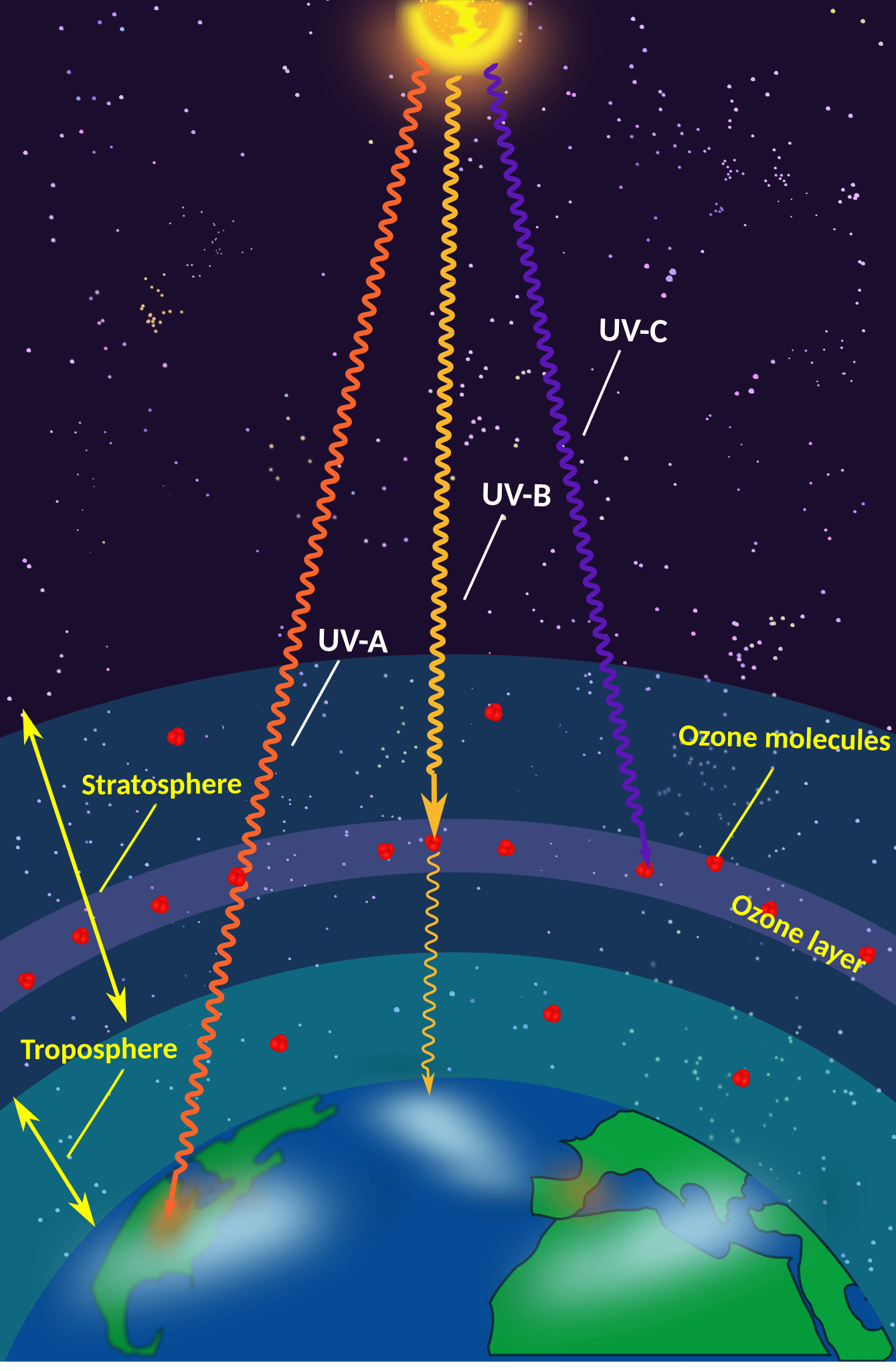 A diagram showing how the Sun's UV-A rays reach Earth, UV-B rays weaken in the ozone layer but still reach Earth, and UV-C rays stop at the ozone layer (in the stratosphere)