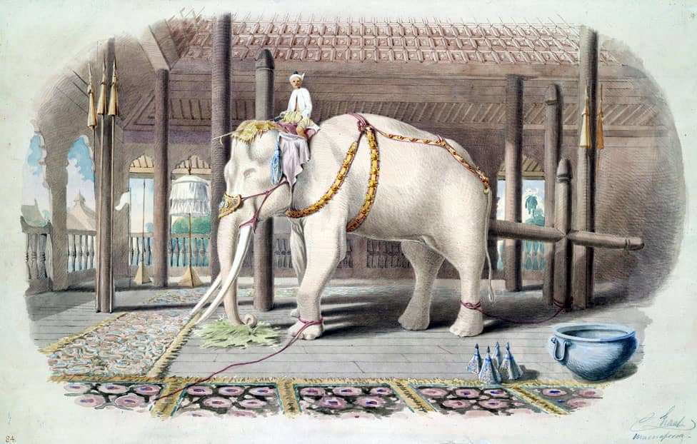 white elephant painting.