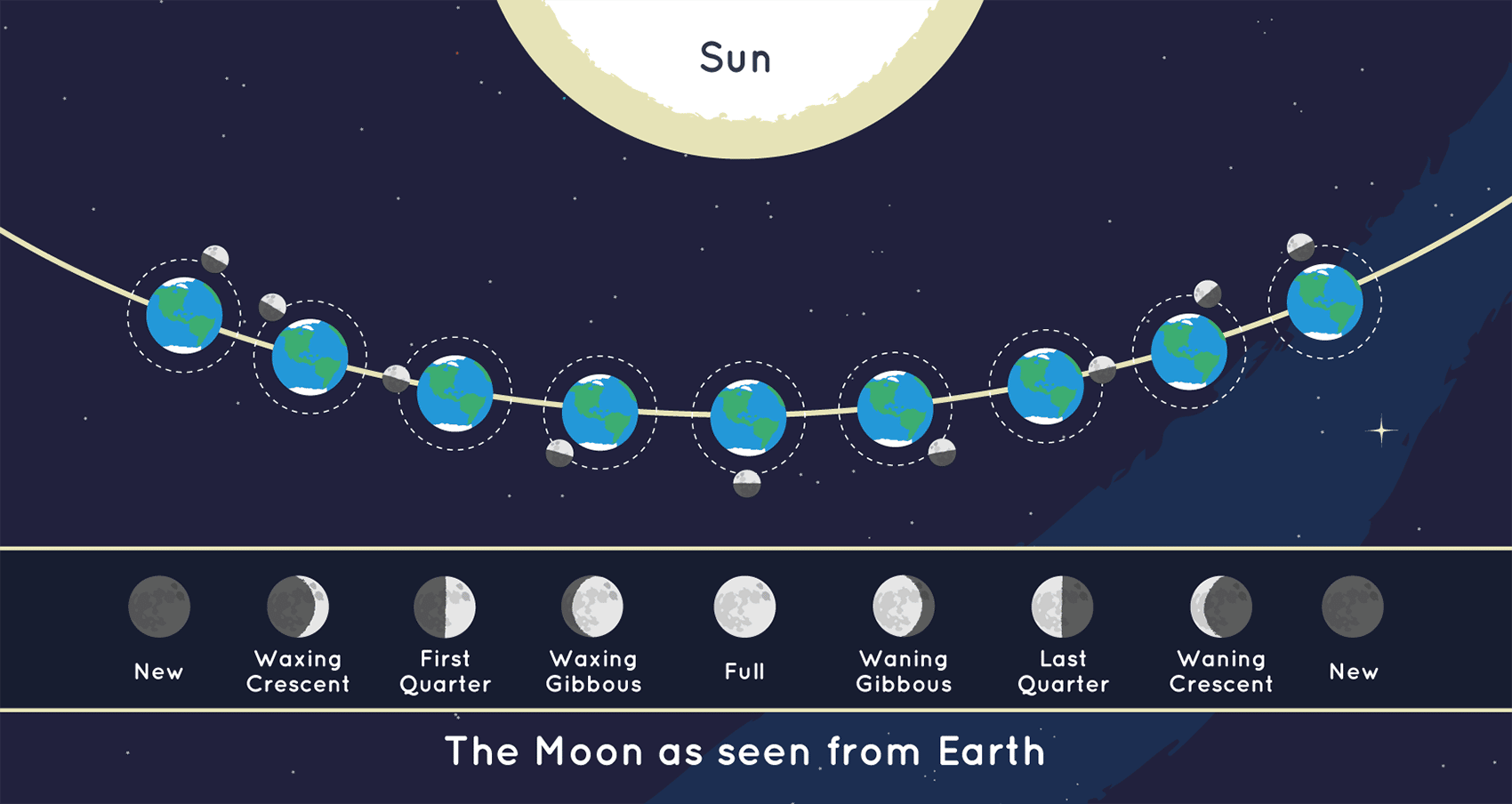 A graphic showing how the moon's orbit lines up with the moonlight cycles 