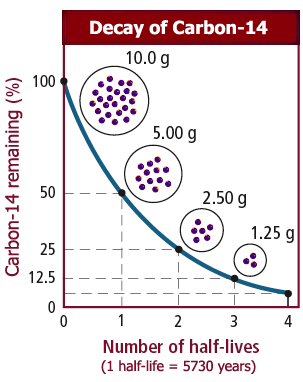 Graph illustrating the decay of carbon-14 over time, showing the percentage of carbon-14 remaining after each half-life. The x-axis represents the number of half-lives, with one half-life equaling 5,730 years. The y-axis shows the percentage of carbon-14 remaining. The graph demonstrates an exponential decay curve, with examples indicating that after one half-life, 5.00 grams remain from an initial 10.0 grams. After two half-lives, 2.50 grams remain; after three half-lives, 1.25 grams remain, and so on. The graph visually represents how the amount of carbon-14 decreases by half with each half-life.