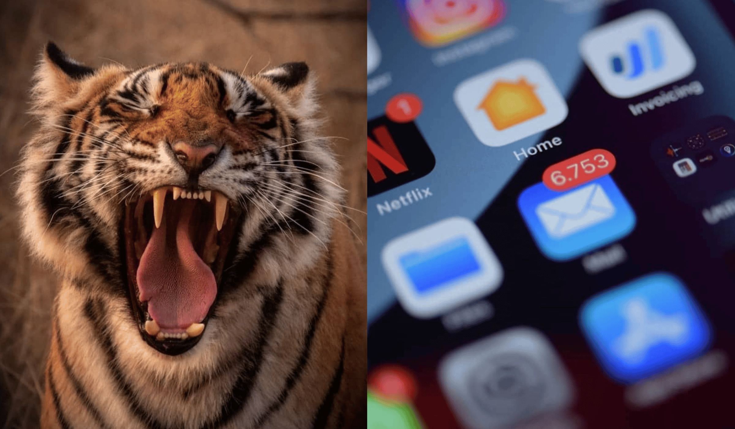Left Tiger, right email. 