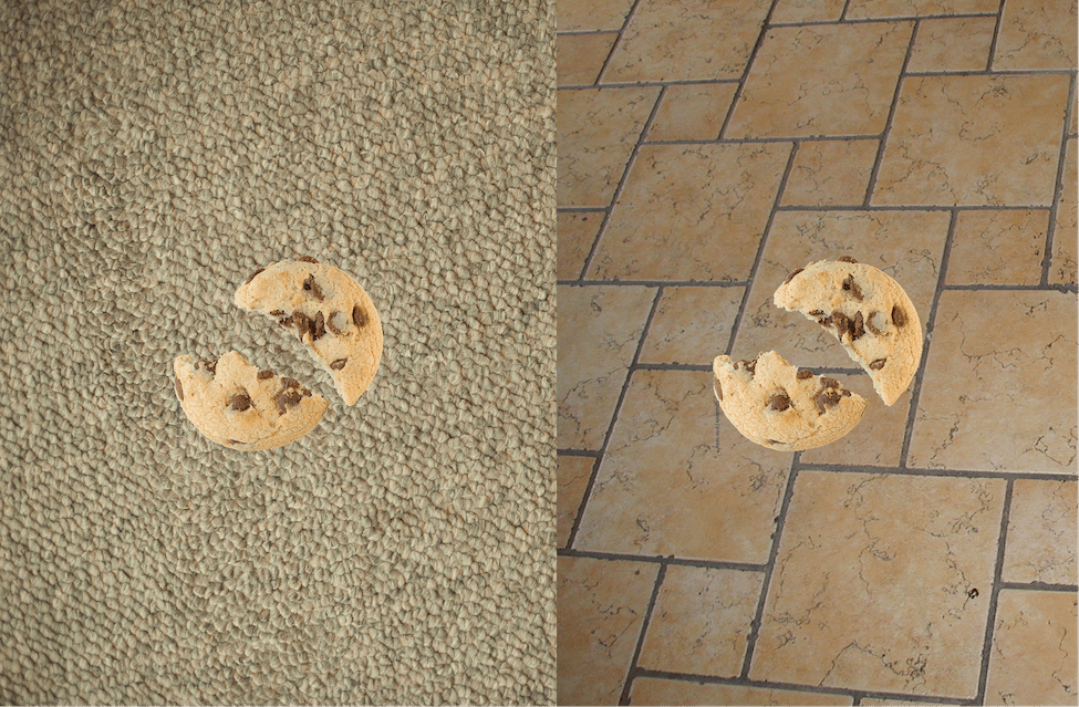 Left a cookie dropped on carpet, right a cookie dropped on tile floor. 