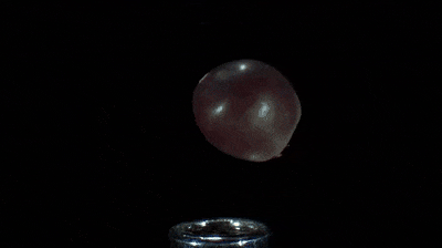 GIF of a popcorn popping in slow motion