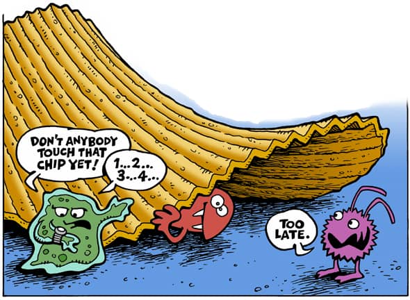 Comic showing bacteria waiting to hop onto a potato chip 