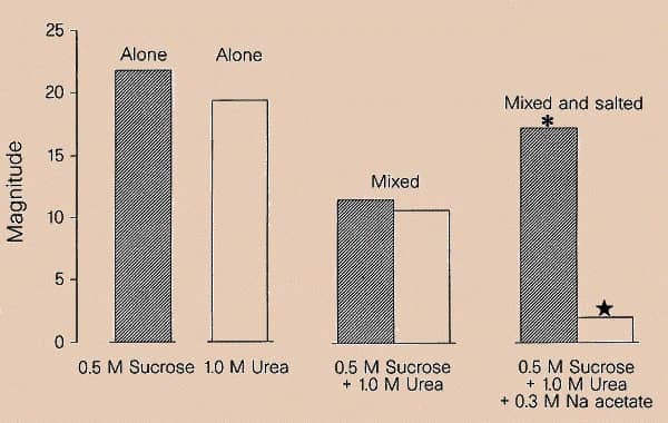 The intensity of urea and sucrose at the highest concentrations were roughly the same (left). Statistical analysis revealed that in mixtures, the highest concentrations of sucrose and urea (without sodium acetate), mutually and roughly equally suppressed their intensities (centre). When sodium acetate was added, also at the highest concentration, intensity of the bitterness greatly decreased, being suppressed by sodium ions6, whereas the sweetness intensity increased to levels that approximated the sweetness in pure deionized water (right). Relative to binary mixture levels, asterisk denotes increase (P<0.0001) and star denotes descrease (P<0.0001). These trends were evident for other concentrations tested. Detailed analyses availabel from the authors.