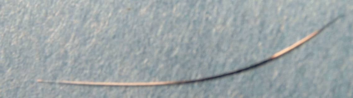 A close-up shot of agouti cat hair 